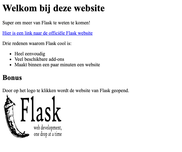 Plaatje van website voor oefening 1