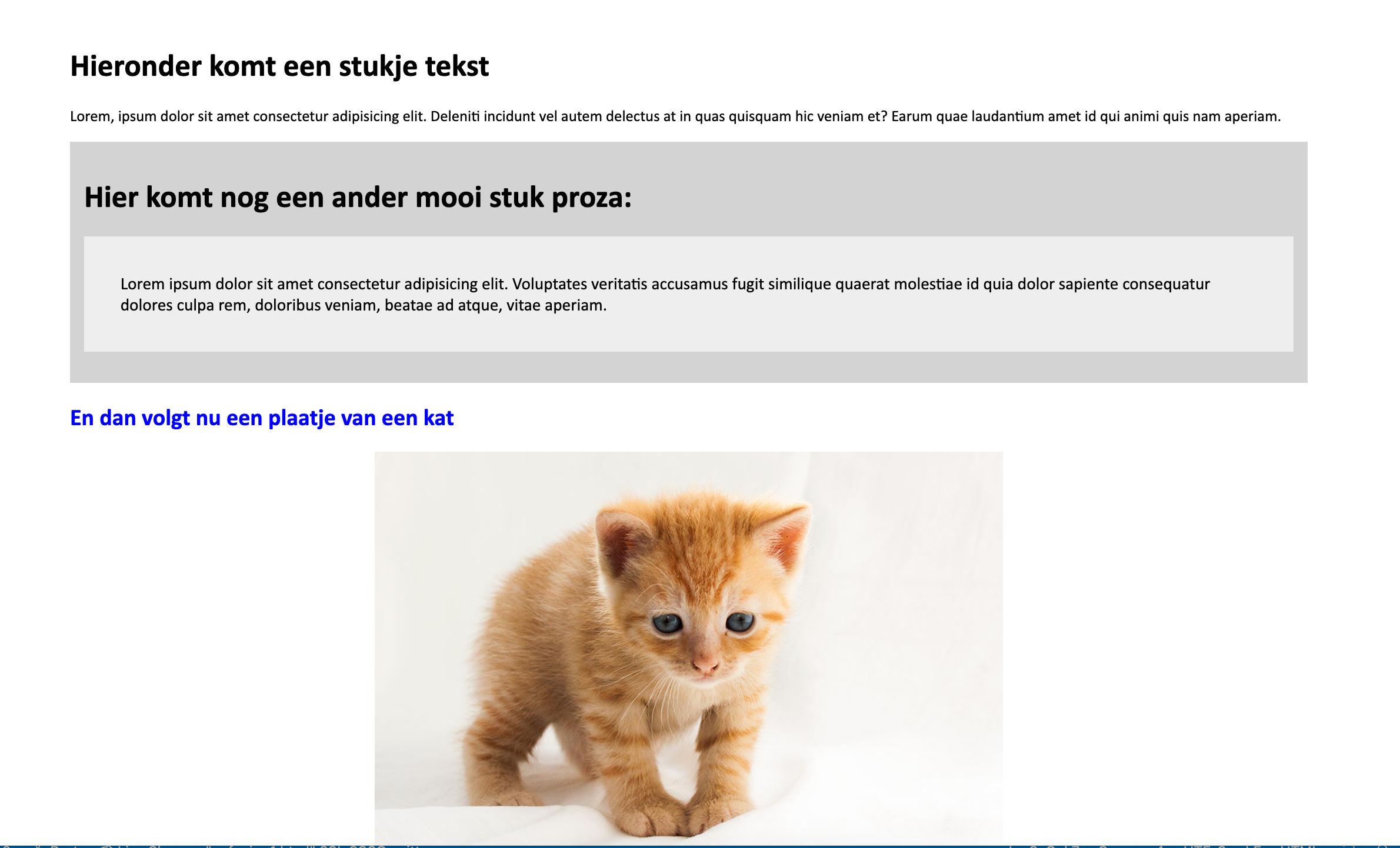 Voorbeeld van het eindresultaat
