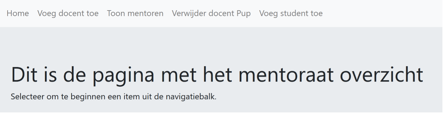 uiterlijk van de website